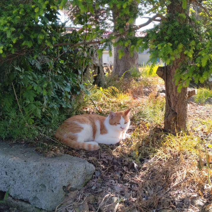 6bfdc0c4 4190 48b9 828a 958f88d17aef 1748499687682