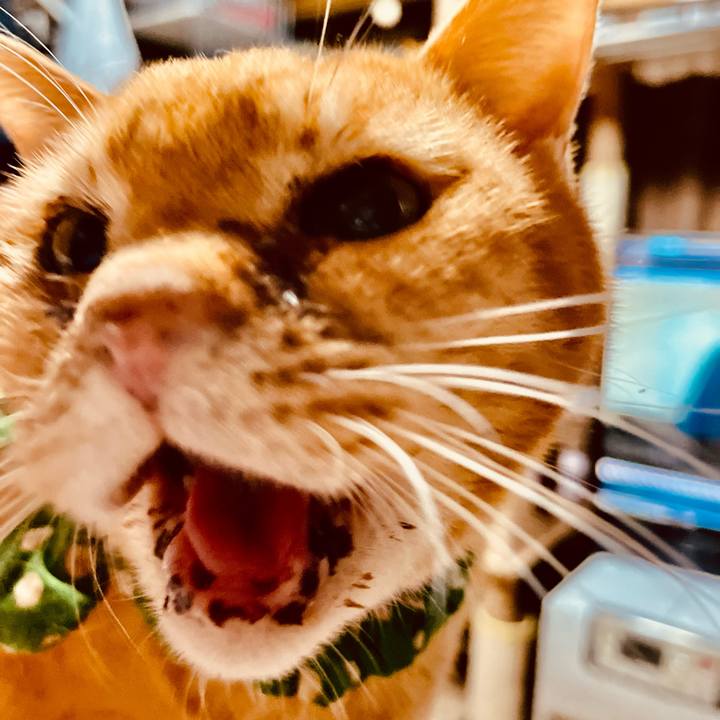 6bfdc859 1d3a 44ac aa2d 9f0285728067 1768387219471