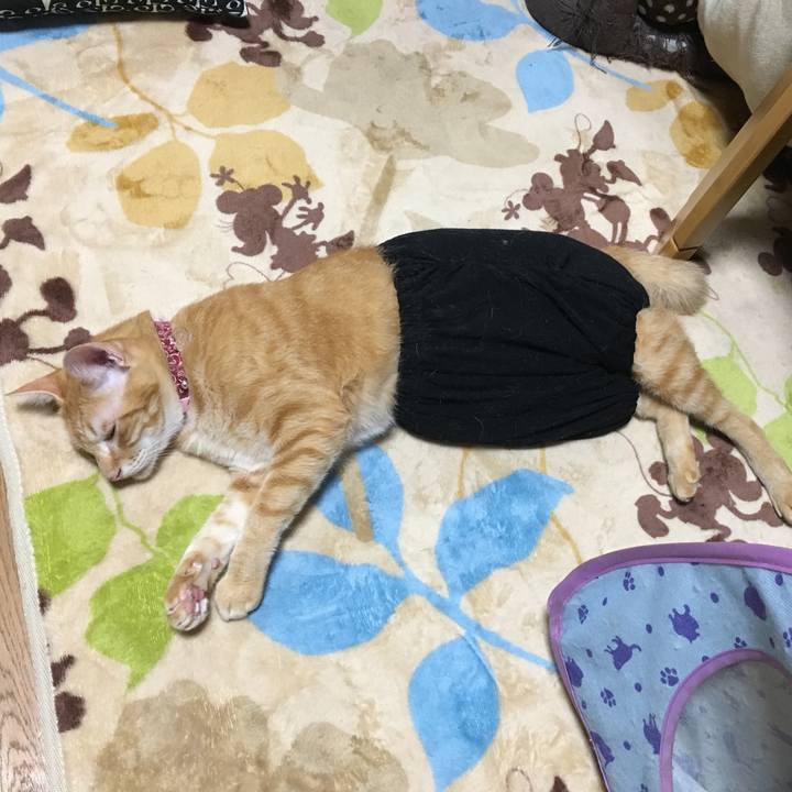 6bfdd6b8 d610 4da4 92f2 aa06c39d32c3 1508252030365