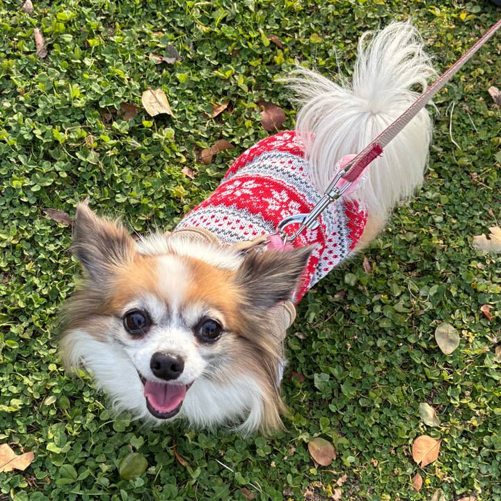 6bfe3639 fb33 4df5 90c9 92992efc1b26 1763878256377