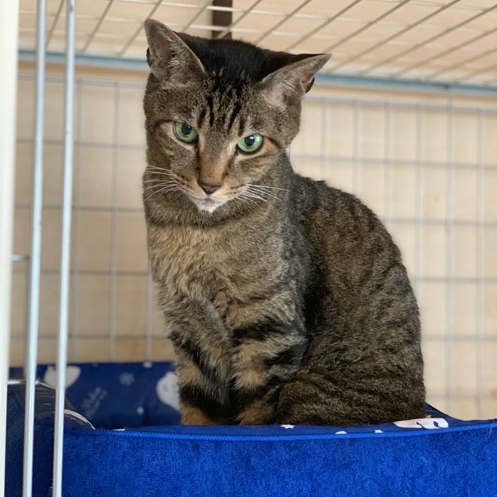 6bfef009 349f 41d3 84e1 22098955f498 1563928586465