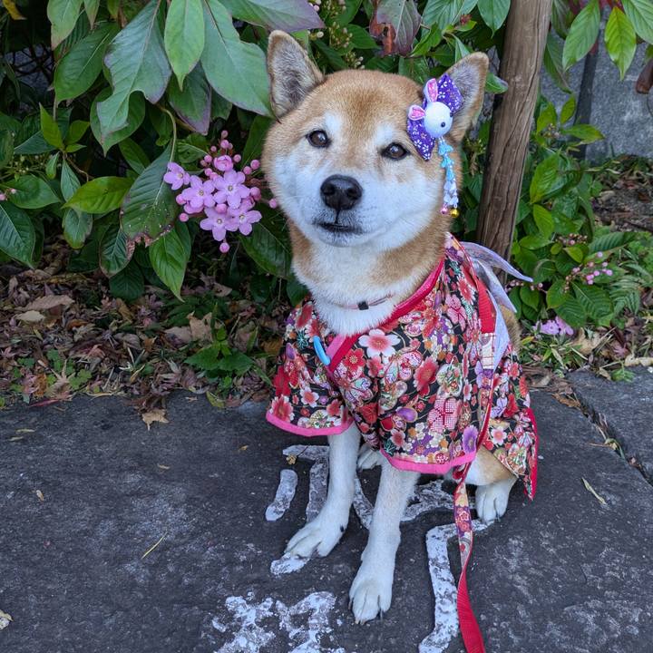 6bfef0e0 83d7 45b5 91eb 7c5ee8d339ad 1734620349892