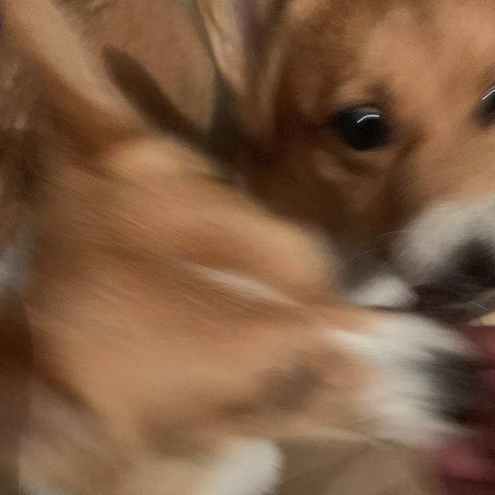 6bff217c fead 4eb9 9f88 916fddac0d41 1562683526406