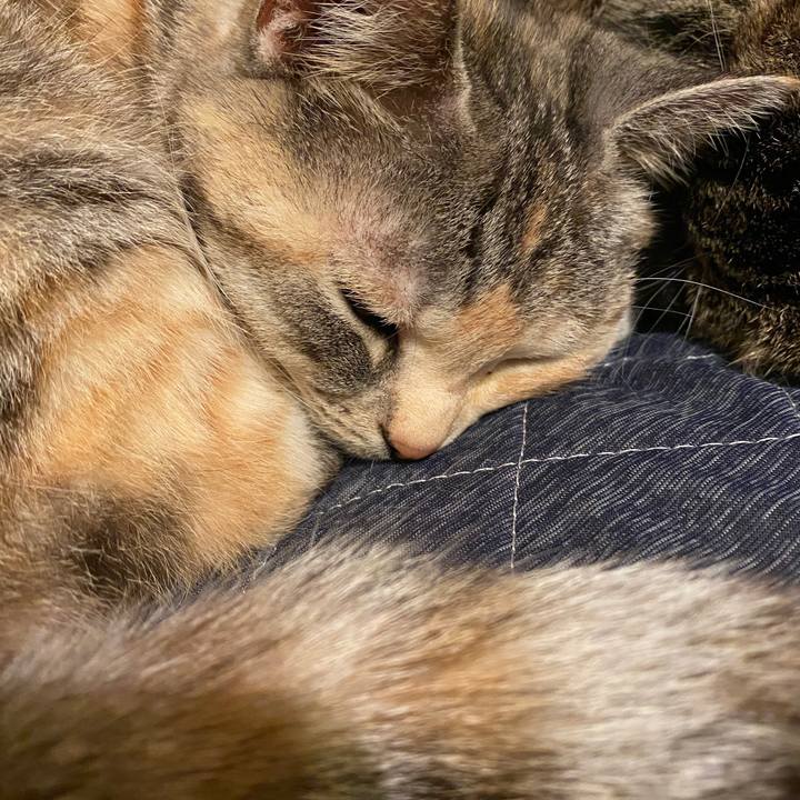 6bff2e17 9052 4641 8d0d 4ccd2ac568be 1585504193941