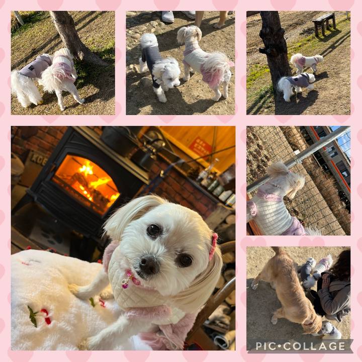 6bff5c83 e790 4017 832e 9995f87e26bd 1675509318436