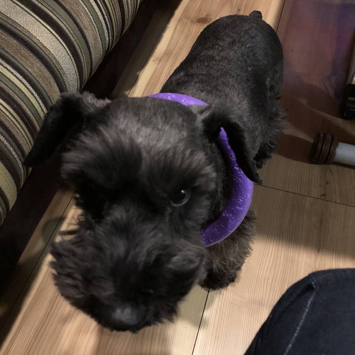 6bff6d84 438f 45eb 8e0c 440ddcf031a9 1513514434007