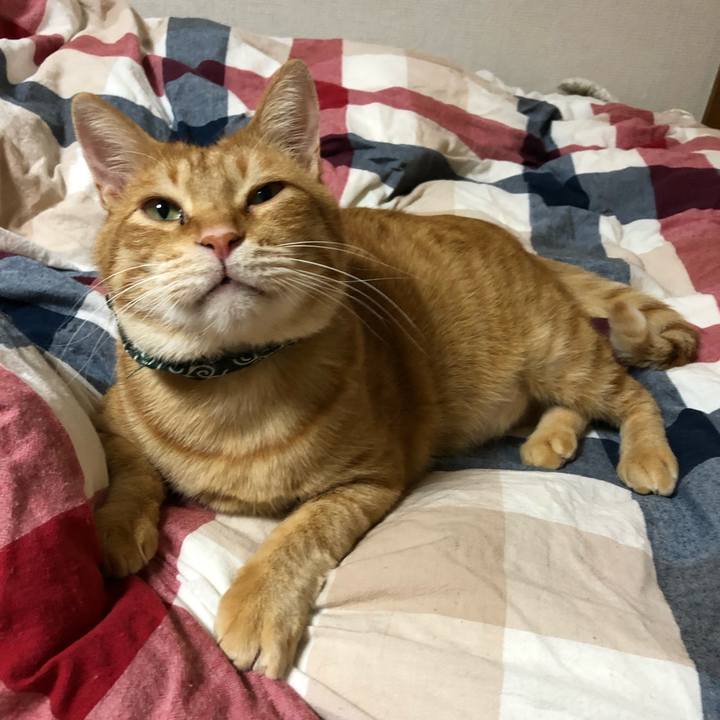 6bffb859 1682 4896 882e 8340a147e3c6 1580810454942