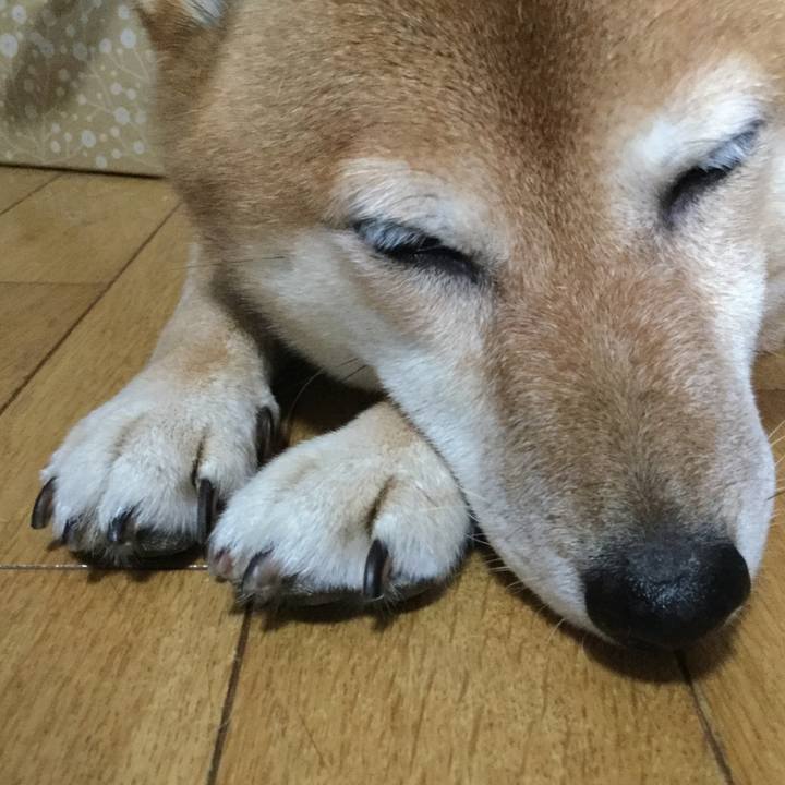 6bffc09a 0472 496b 91e8 8f8ebace320a 1564299436257