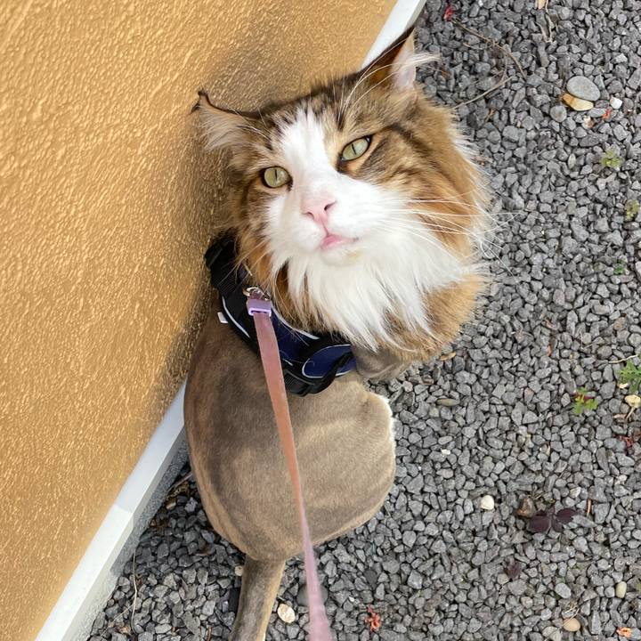 6bffe5af a580 451f 8c29 932d95260576 1687722454507