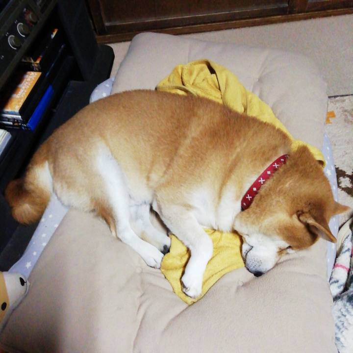 6bffef33 ec1e 42c9 b093 7f09e1e46074 1637152113609