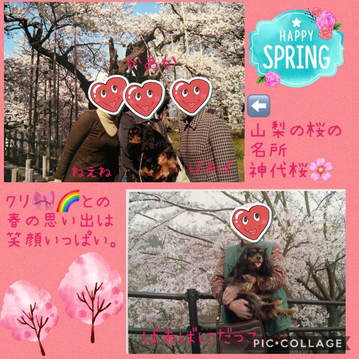 6c001ded 5c77 4faa 879e c474943a1b86 1553086524281