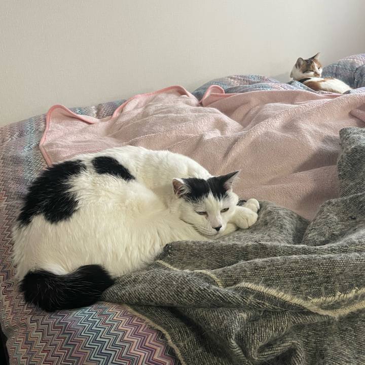 6c00349a 4191 4912 b88c 594e4c6fc955 1671580157279