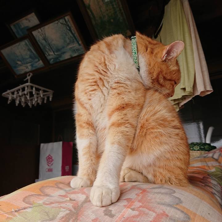 6c003e7a fceb 4840 8622 c87aba6255e3 1582353471533