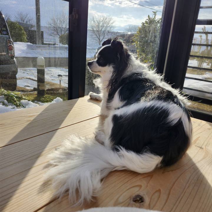 6c004652 7d93 4c68 b888 ad4bce7d0275 1771138997530