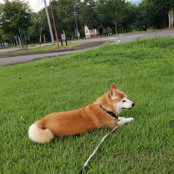 6c007b7f 41dc 403b ab1a f587d26a1a75 1628154801873