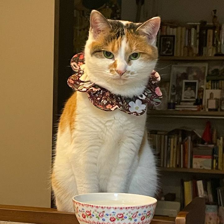 6c00d510 3af5 4dd5 b551 d731c91952be 1733488756300