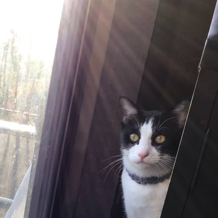 6c00f13b f948 48d0 89fb a87bb86fddce 1666523049391