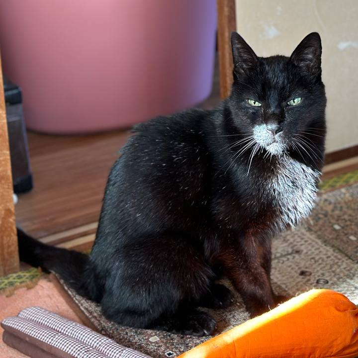 6c01360b 99ec 4eef ab47 9b0b88bd5e8a 1707619901839