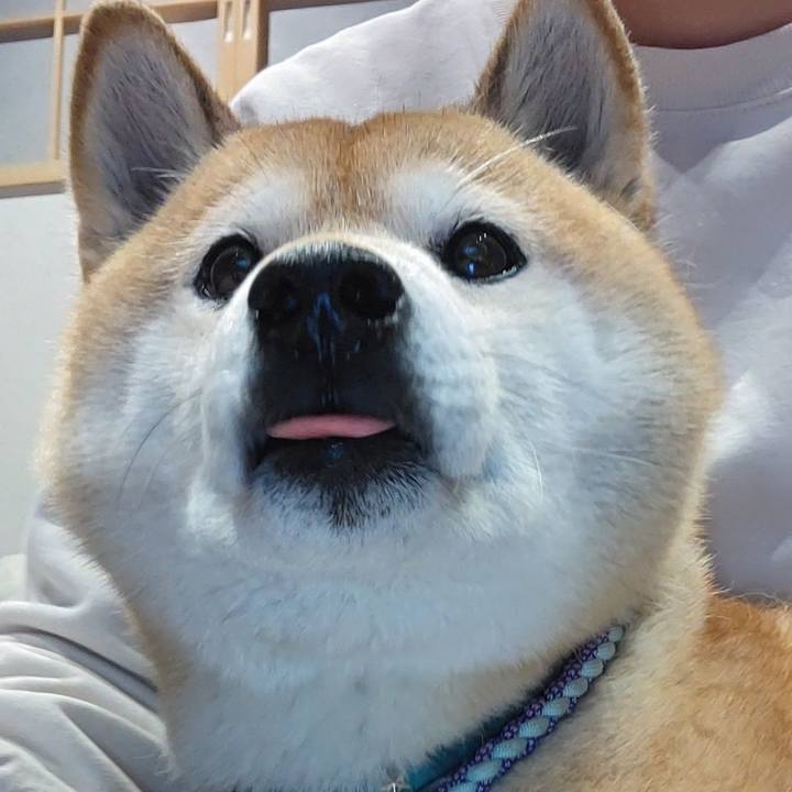 6c019475 8e71 46b7 a010 e3e6c58568b1 1616323044016