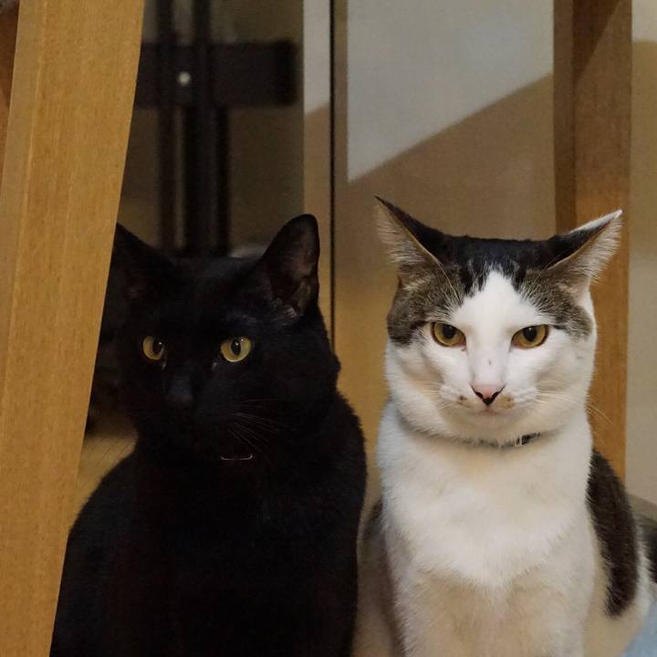 6c01a722 256e 4de2 b273 a05b32bd6db5 1551396250642