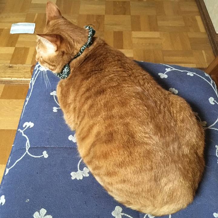 6c01b4a0 819b 4904 aaa9 eca79ce556a6 1553262241338