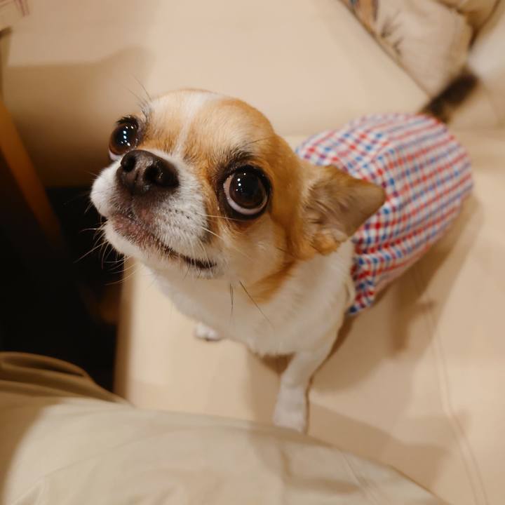 6c01e26c 5ac4 433c 8d74 32e1da485327 1623192944185