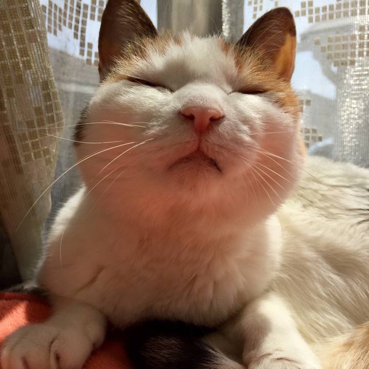 6c01f6df 03b1 462b 8810 769bcc68ce83 1556417960502