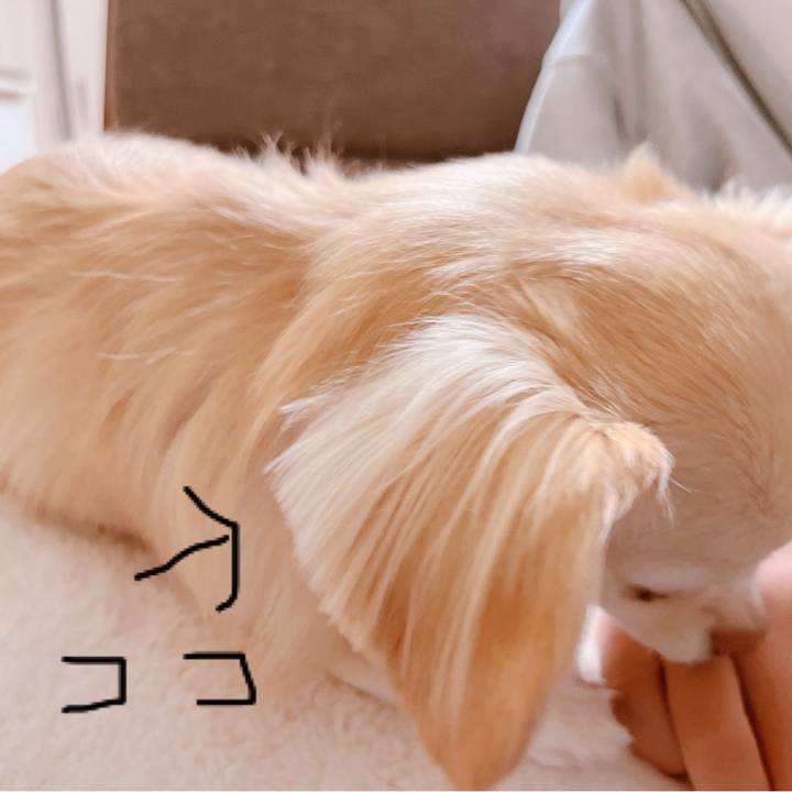 6c023463 708f 434f 91de abf4982173f7 1665655194870