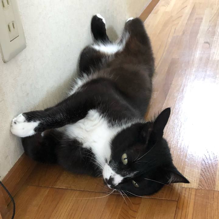 6c0264e4 99a6 47a9 8c5a fe4972717151 1594783256765