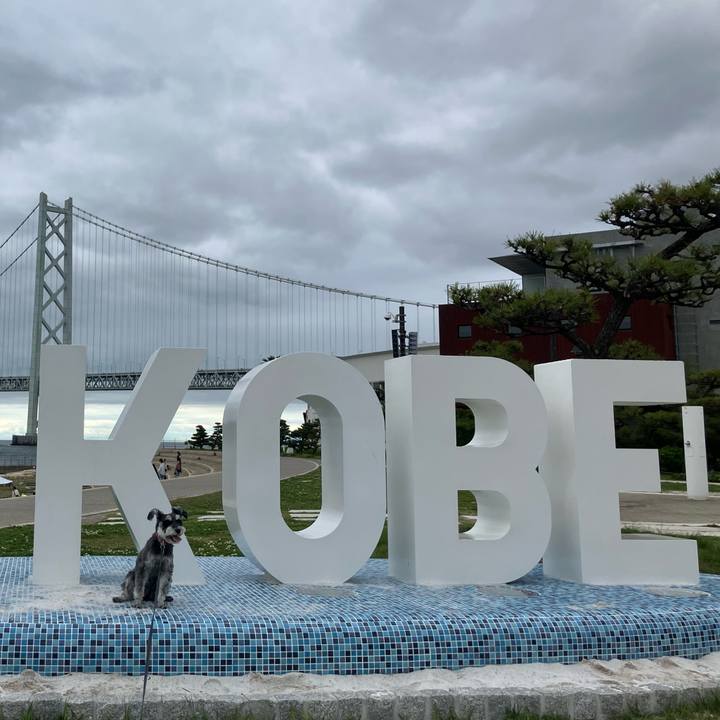 6c027086 37fa 48a1 9207 ce221eedb231 1748145409795