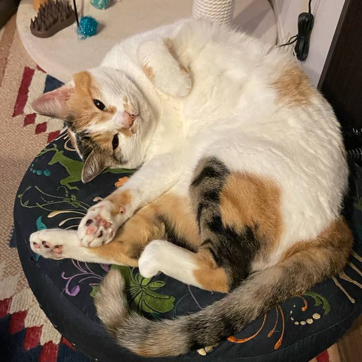 6c0279f8 cd97 4e1d b7e9 fc84e75a0a4f 1726413207916