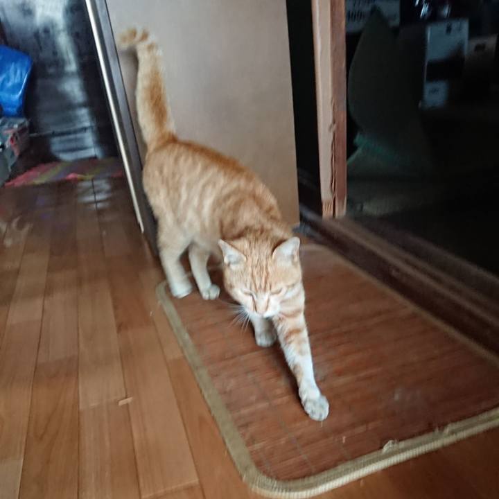 6c0289e8 b864 4af3 89b9 c14ae46c51ac 1556010867412