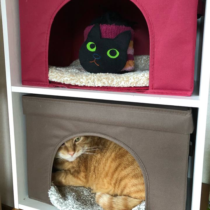 6c029b74 9c9e 47ba aa73 d6e59fda9c69 1588578574464