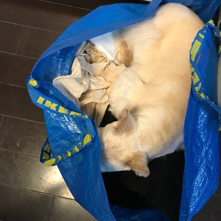 6c02ab6e b52b 4f23 8ec5 dc2cf8de6630 1554278381580