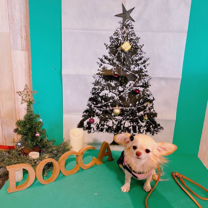 6c02ccb8 6bba 4652 975e c1131884bfc7 1669284683978