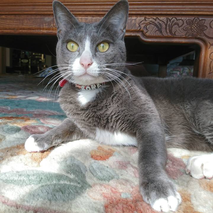 6c02fdd4 3fa3 484f 8de3 f0d45618b5ef 1509935324831