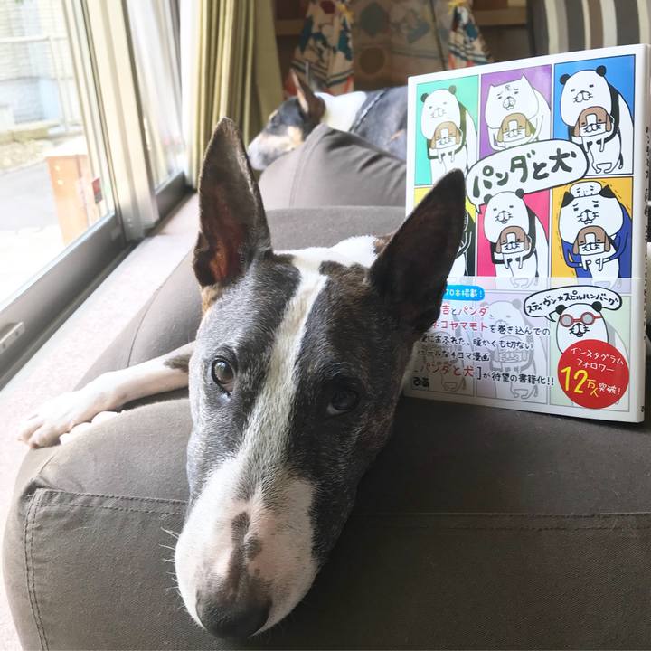 6c032336 2b75 4efe ba57 c6a02c8f7515 1525063915374