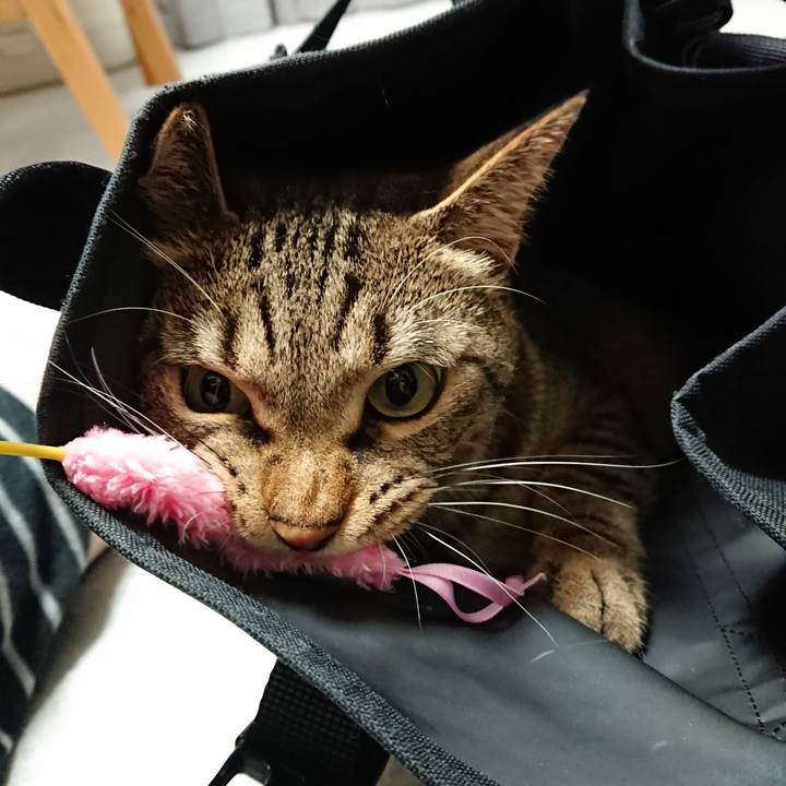 6c033d00 5fd1 4986 93ac 4fbc54184c78 1563349940670