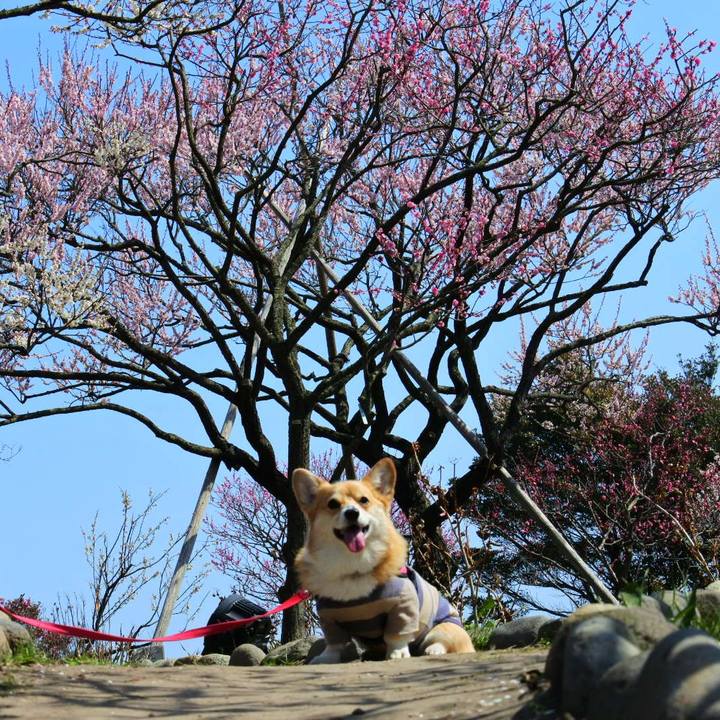 6c03463f 942a 4ca1 b0a8 14f2163b4b86 1616850989123