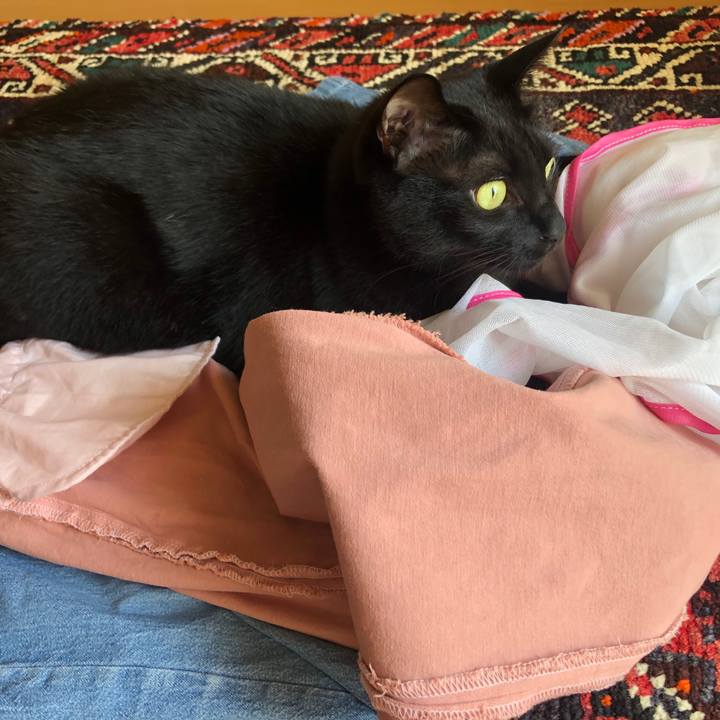 6c0360be 8171 4e6e 8659 6b30ed883757 1570243492368