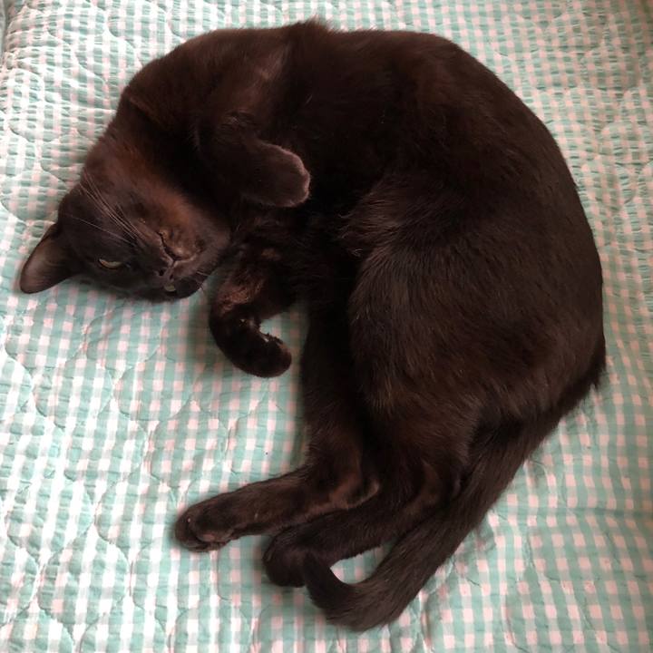 6c036110 d946 43a8 827d 290971872fc9 1742595309986