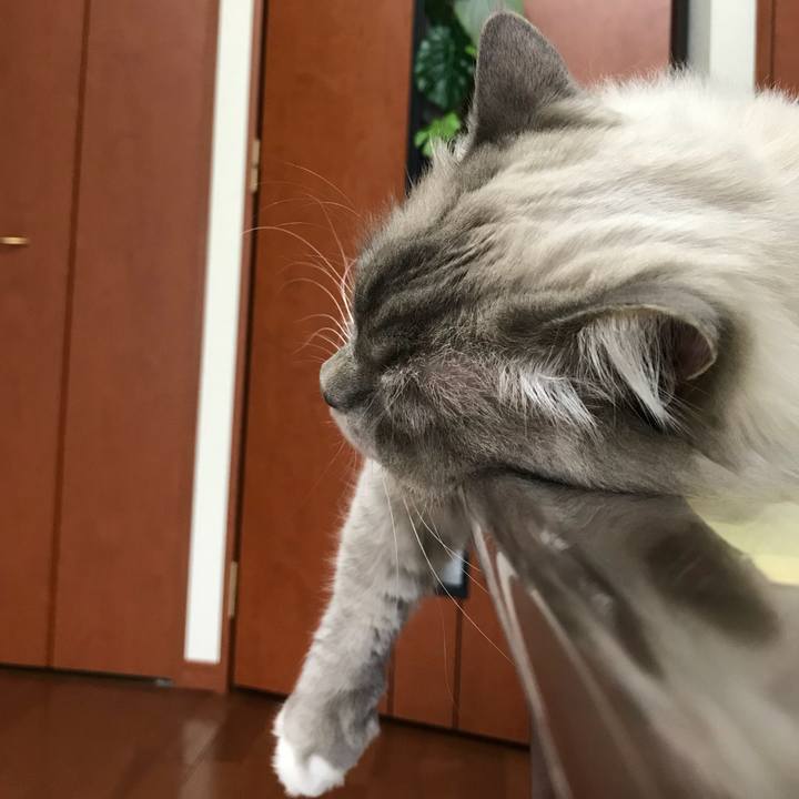 6c037ff9 45db 4564 ae6d bdbf6d3e0829 1510670069260