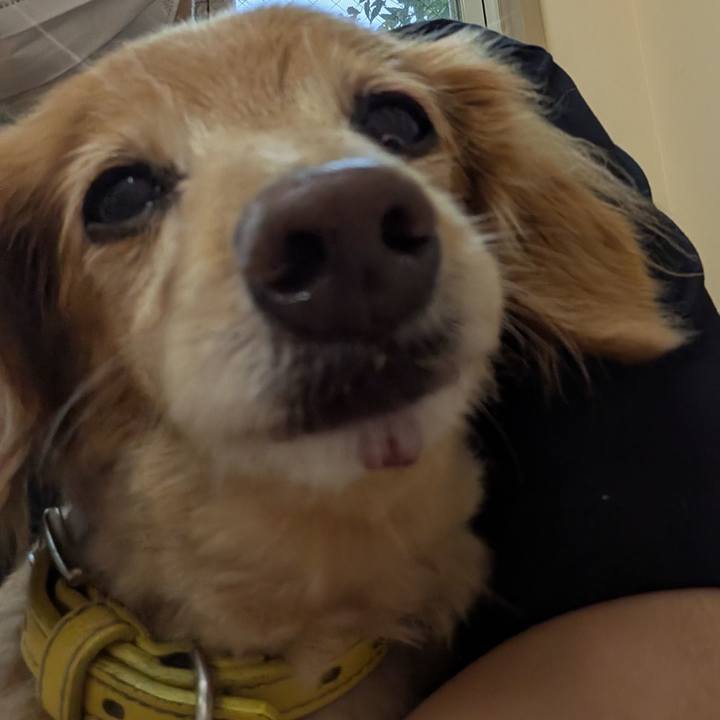 6c038151 1f88 4a0c 9094 8f7b5273be10 1760584230142