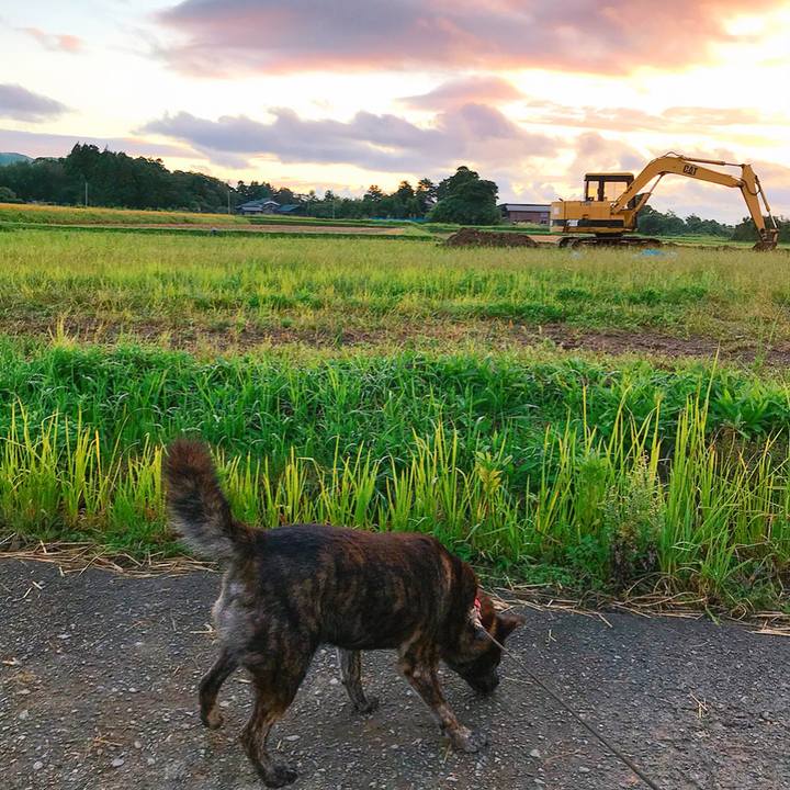 6c039801 cbc4 4bac 8c5c 0da0985bbeee 1538043380873