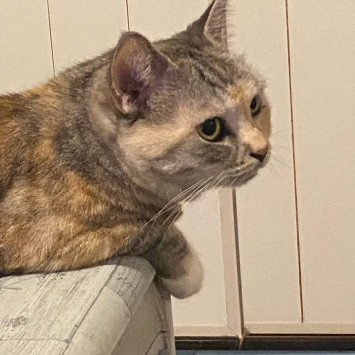 6c03e32b 48e3 4690 b9dc 5e01ad105b6c 1662837749571