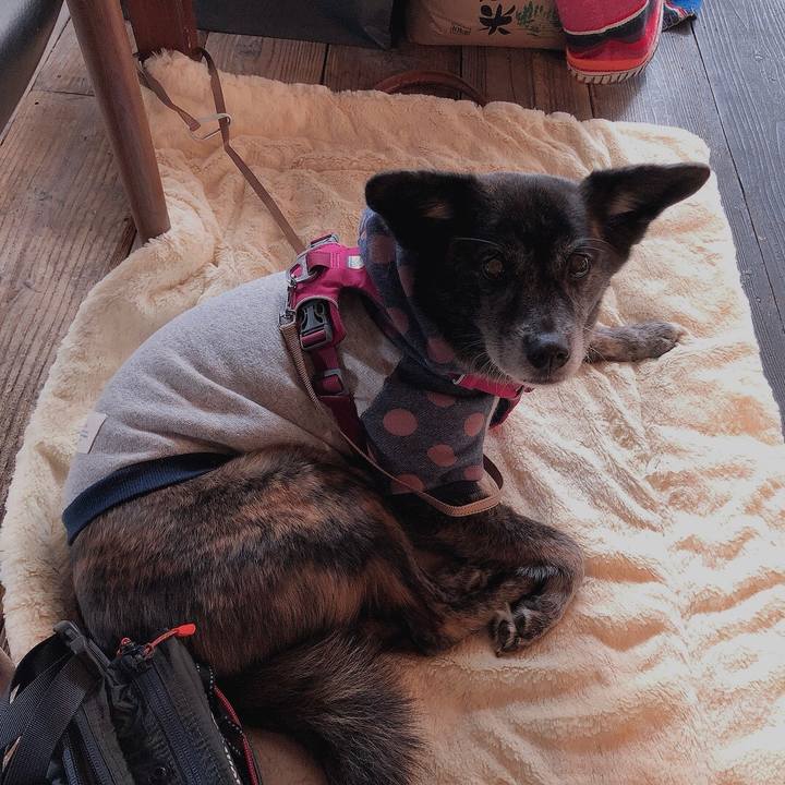 6c03fadc b304 4a8d ac7b 0889e068e13b 1642996742567