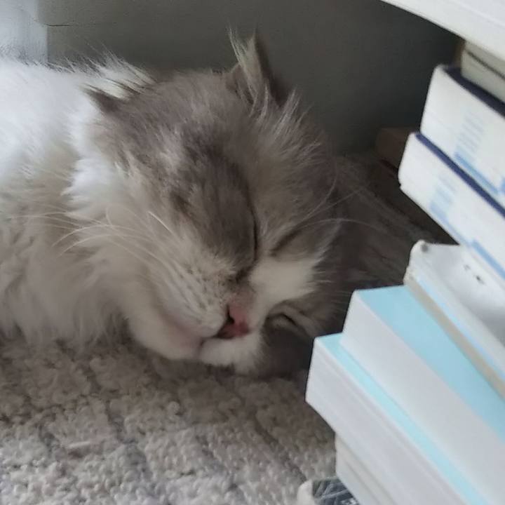 6c040d92 b3da 4e0a 984c 099d3a414408 1625296021787