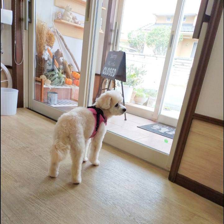 6c042851 20f5 4bbd ac5f ac682d6c77de 1661682401418