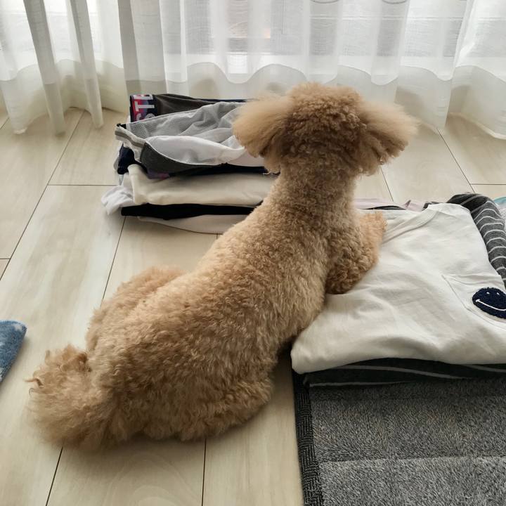 6c0429ce 1992 4b34 afdb 9b340cf56df8 1587117861336