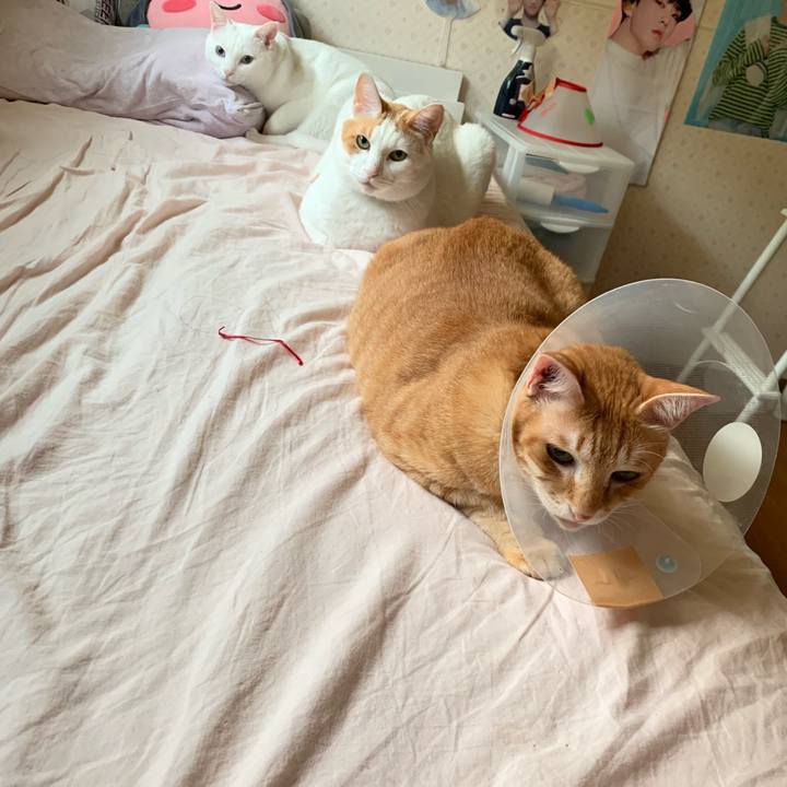 6c043f1a db43 4480 b24a 11156f8fa681 1567199604991